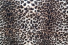 Knitted Fur Leopard