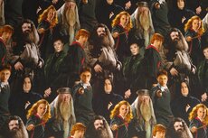 Cotton Jersey Harry Potter Painting
