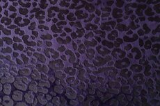 Velours Printed Leo Purple