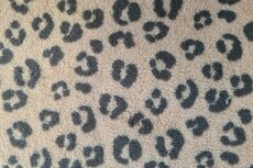 Teddy Sherpa Fleece Leopard