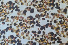 Viscose Spots Yellow