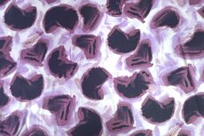 Viscose Satin Leo Lilac