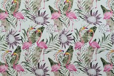 Cotton Jersey Flamingo White