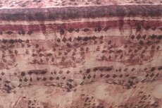 Viscose Crepe Abstract Dark Red
