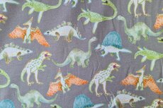 Cotton Jersey Digital Dino Grey