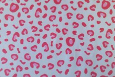 Cotton Jersey Mini Leo Coral