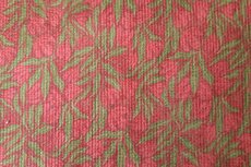 Stretch-Cord Meadow Green-Red